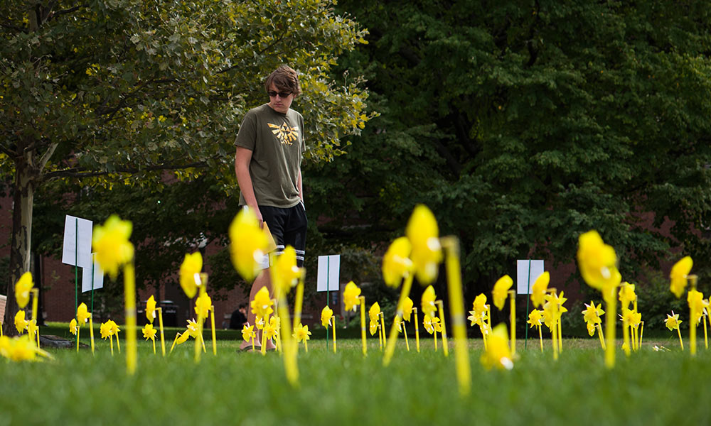 Feature image young man walking by yellow pinwheels