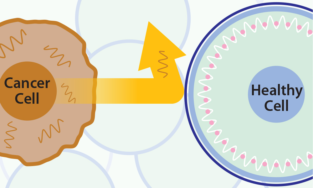 graphic showing cancer cell bouncing off a healthy cell