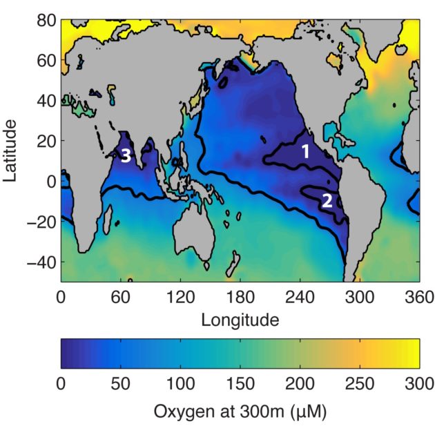 map showing the oxygen levels in oceans around the world, with the three lowest levels highlighted in deep blue