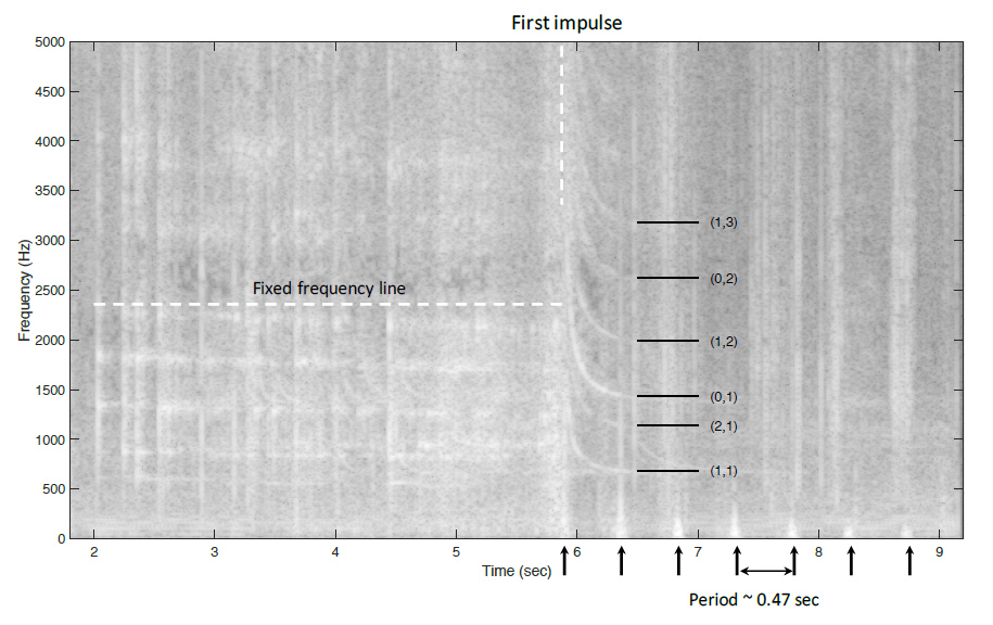 chart showing frequency (Hz) on the y axis and time in seconds on the x axis