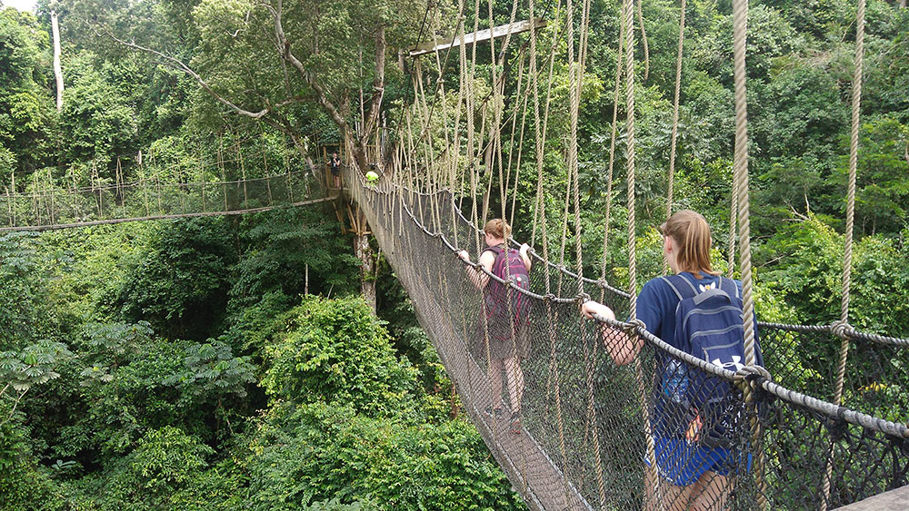 Students traverse a rope bridge