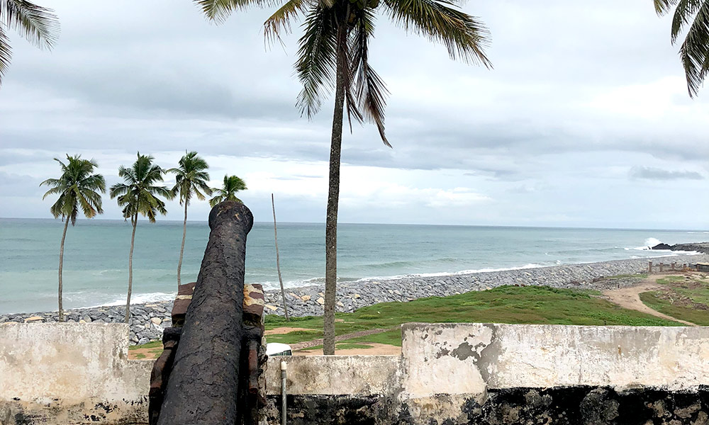 canon at a historic fort overlooking the ocean and palm trees