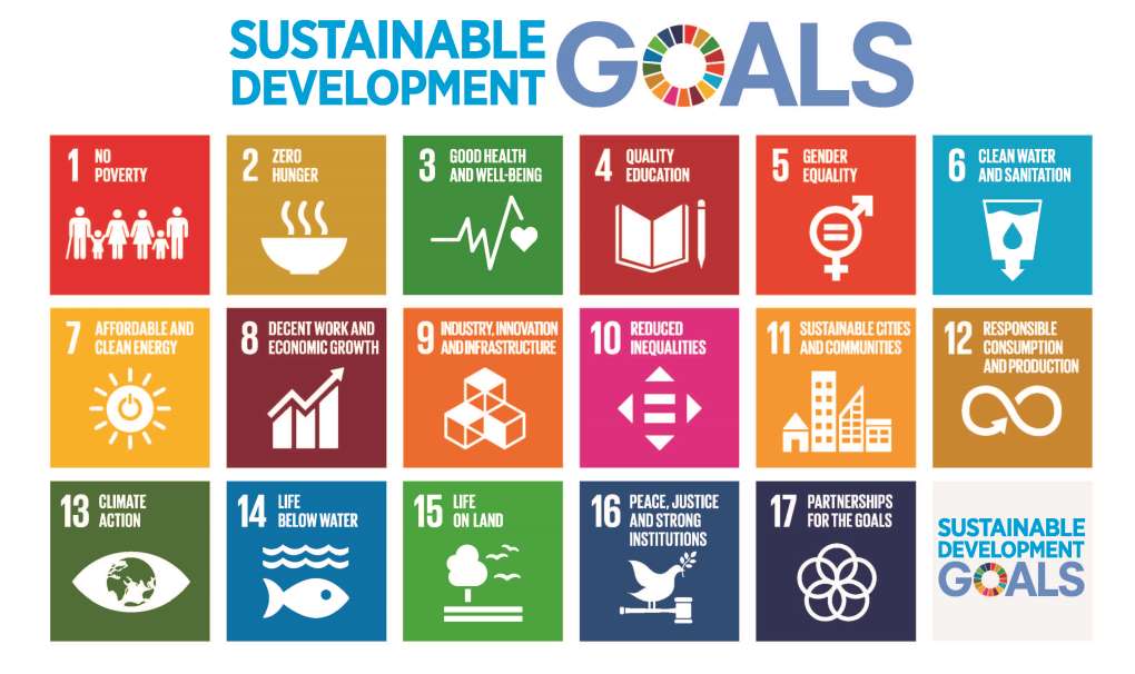 Sustainable Development Goals image