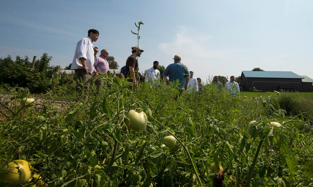 Feature image Dining Services staff tour local farm