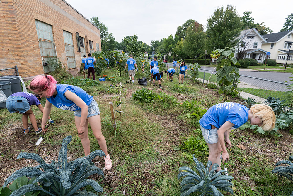 large group of students working in a garden