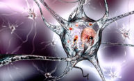 University named National Center of Excellence for Parkinson’s research