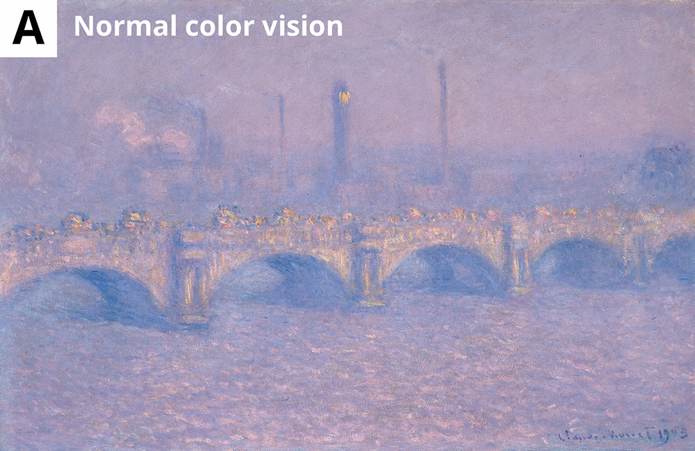 animated gif showing four different types of vision looking at the same Monet painting, the first is normal color vision, and the other are the three types of colorblindness outlined above. The differences are quite striking.