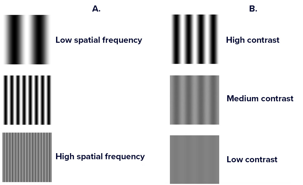 Small eye movements may be crucial to seeing contrast variations