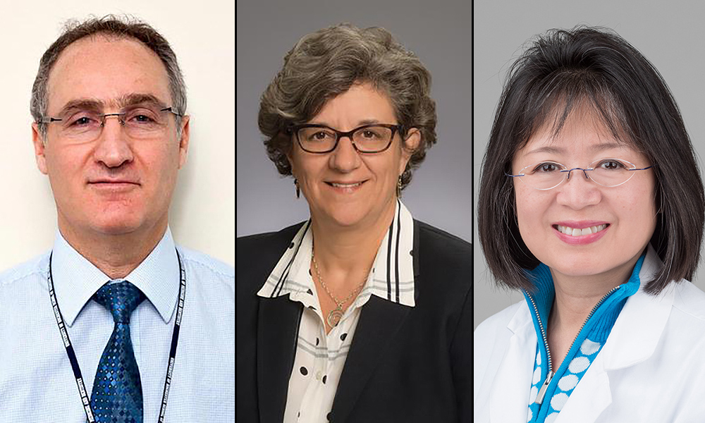 Feature image portraits of three professors