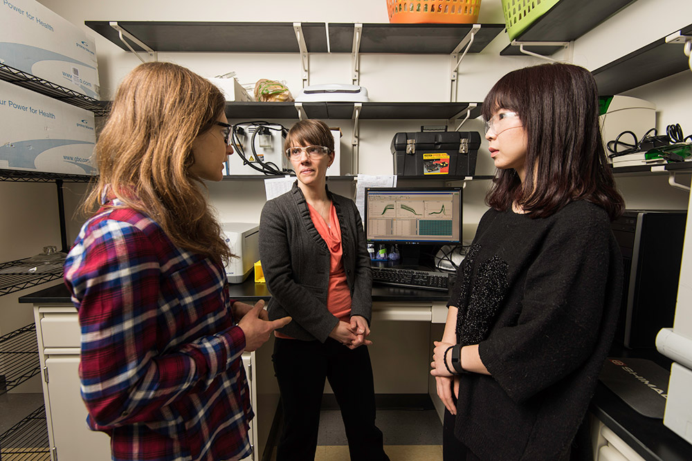 Danielle Benoit in the lab speaking with two of her students.
