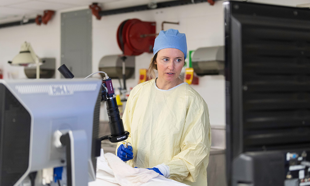 woman in scrubs works in the lab, looking at a series of monitors.