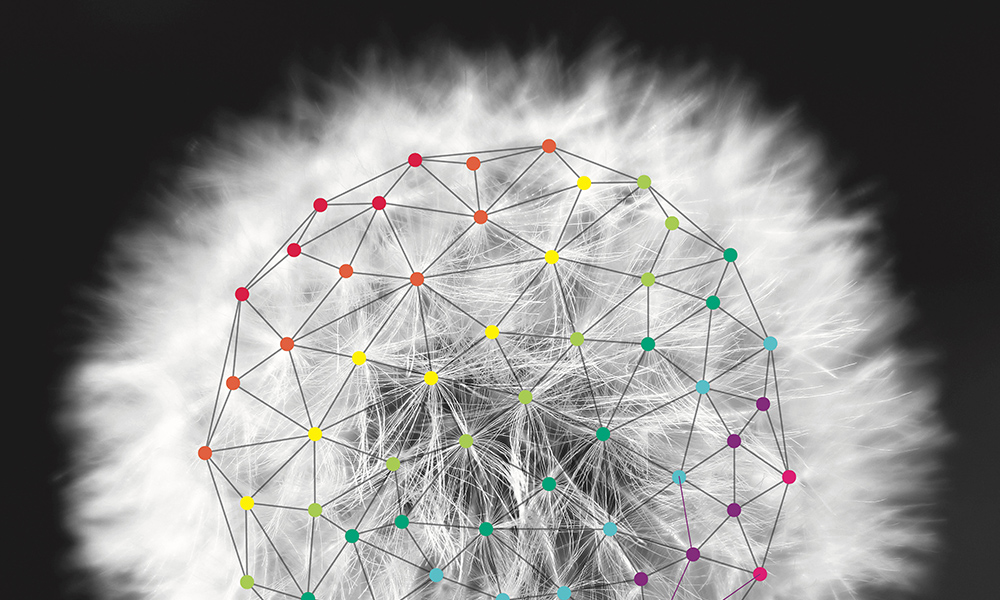 Feature image photograph of a dandelion with seeds, and colorful geometric designs connecting each seed head.