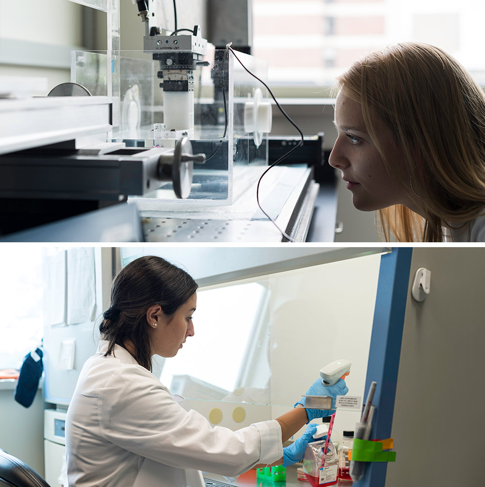 two photos, one on top of the other, of two women researchers in the lab, wearing lab coats and working with samples