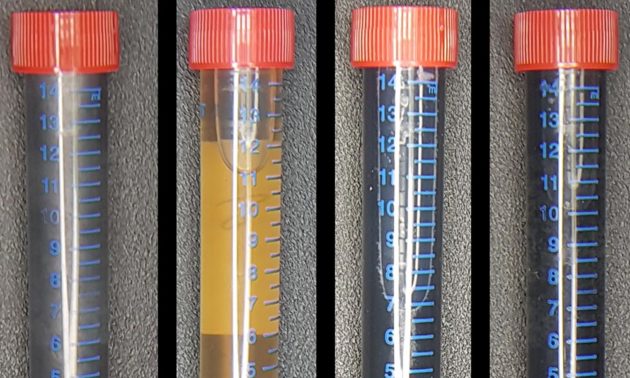 four test tubes side by side, containing a graphene substance of different colors