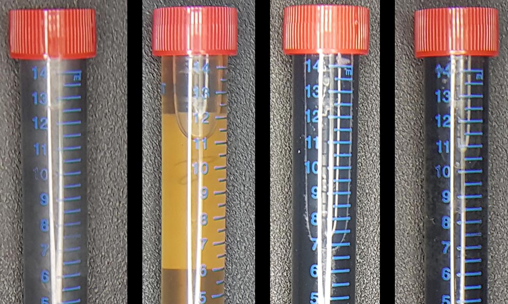 Four test tubes filled with liquid, three are dark and one is lighter.