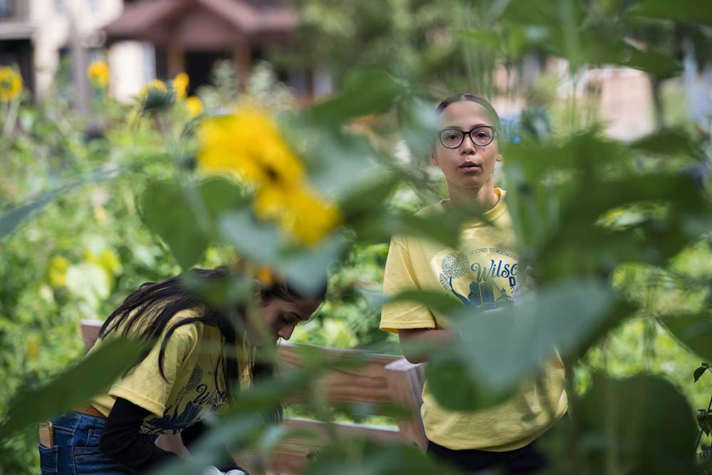 two students seen through a garden of sunflowers.