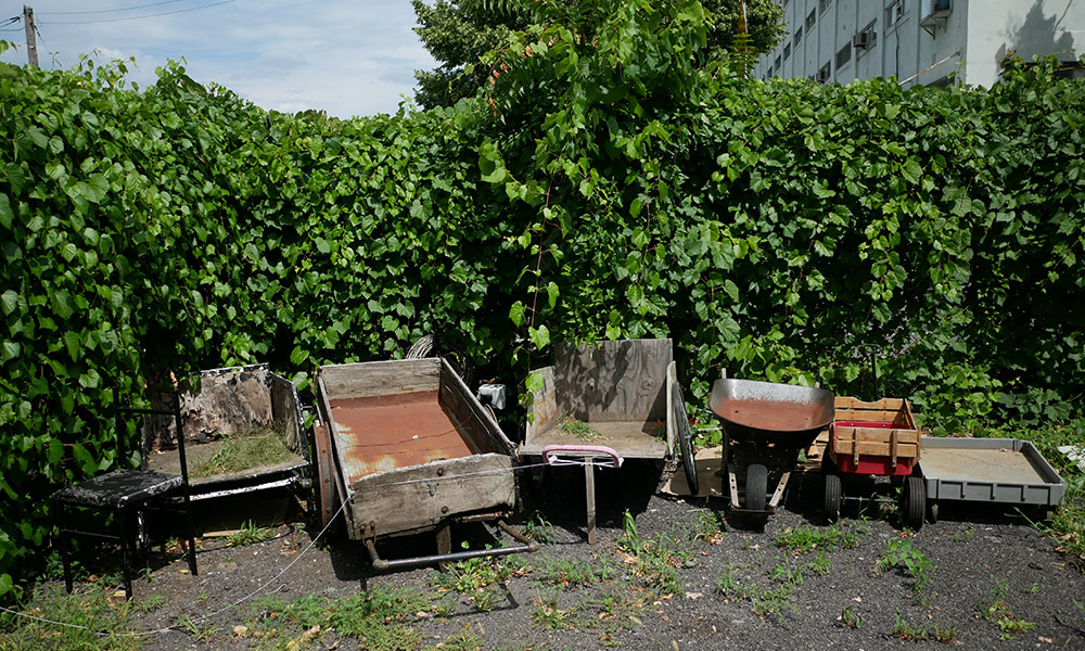 Wheelbarrows, chairs, and other materials lined up in front of a green hedgerow.