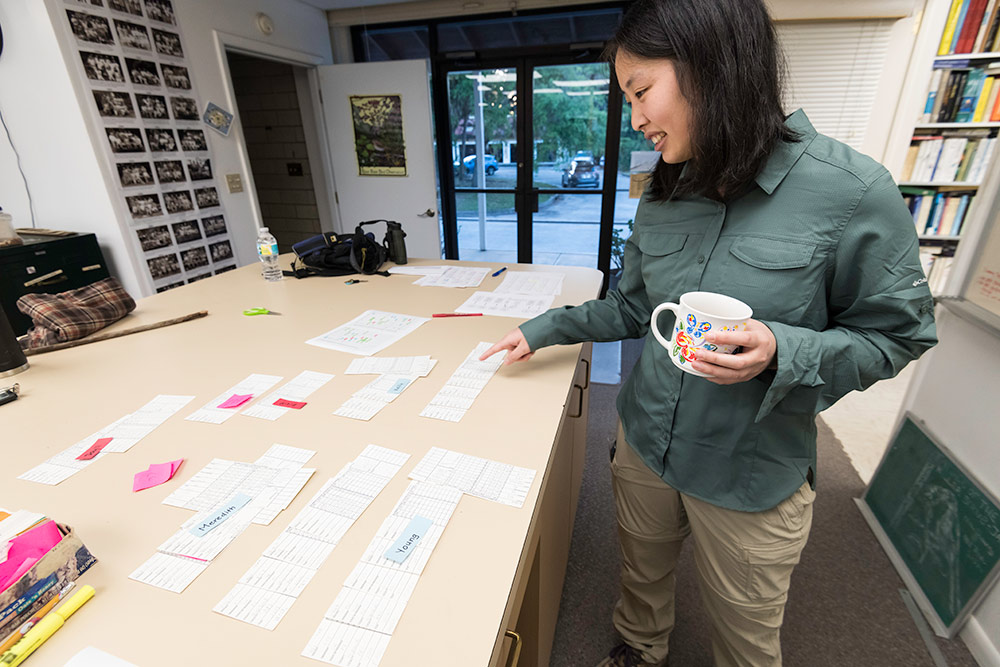 researchers lays out many slips of paper on a large table