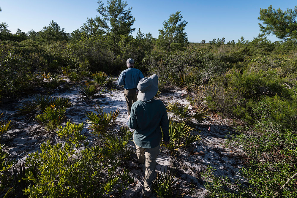 two workers walking through the scrub brush.