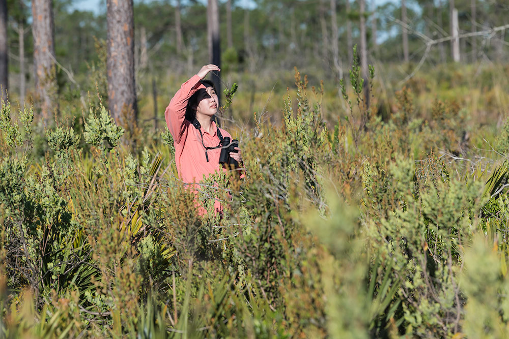 researcher with binoculars shields her eyes while looking into the sky.