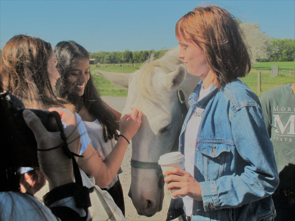 group of students petting a horse. 