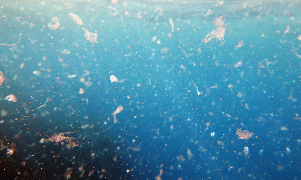 fea-microplastics