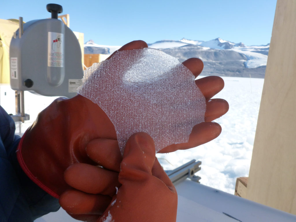 gloved hand holding a thing section of ice showing the air bubbles trapped inside.