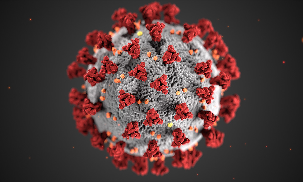 image of coronavirus