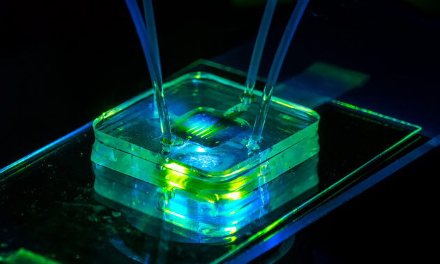 image of nanoparticle filter