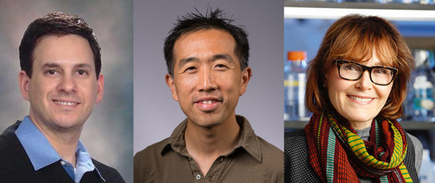 Horizontal portraits of Doug Anderson, Dragony Fu, and Lynne Maquat, scientists who study RNA of viruses.