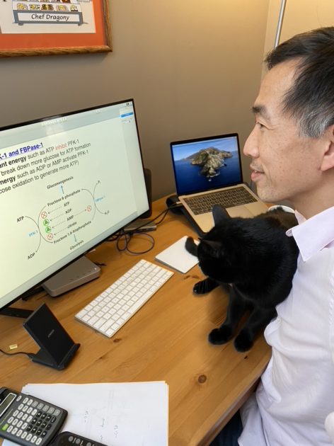 Dragony Fu seated at a desk, looking at his monitor along with his cat.