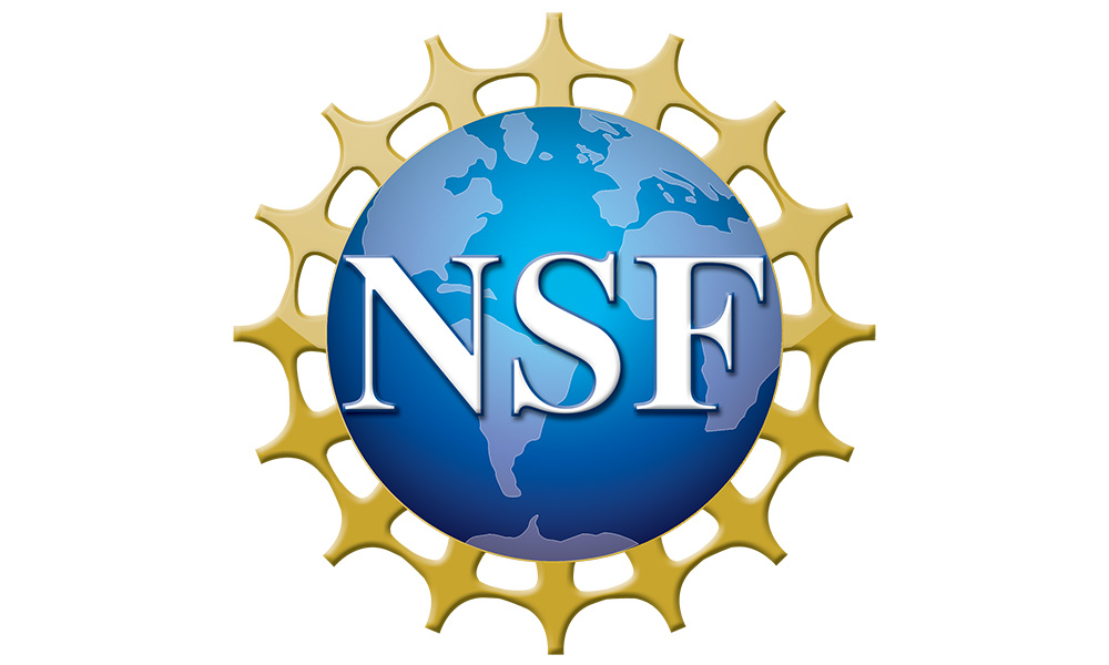 NSF logo