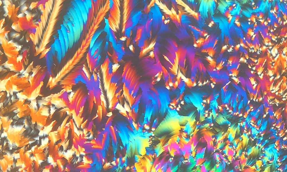 Feature image feather-like display of crystals under a microscope.