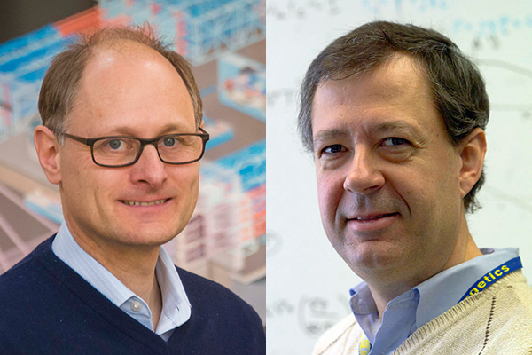 Feature image Wolfgang Theobald and Ricardo Betti