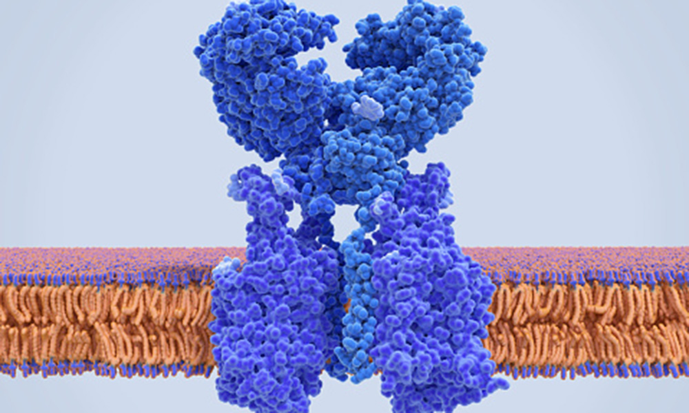 illustration of cellular enzyme