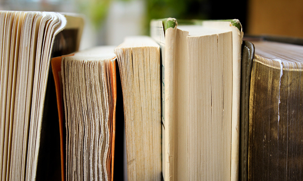 close up of row of upright books.