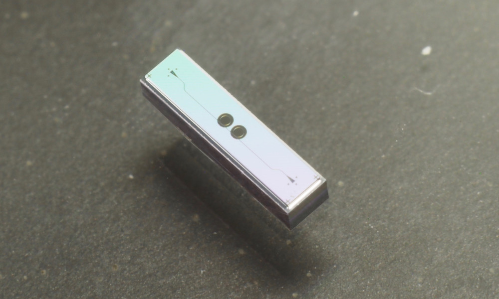 Example of an optical chip sensor.