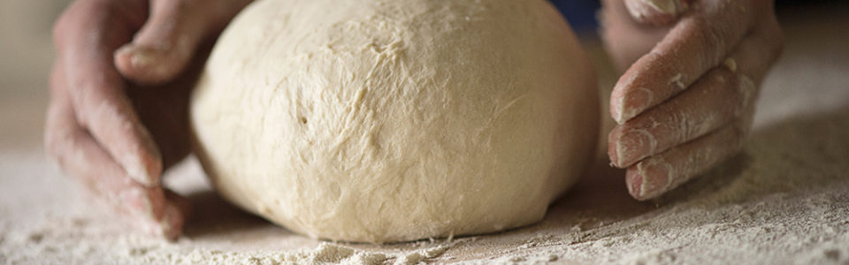 hands kneading ball of bread dough after baker's yeast has caused dough to rise