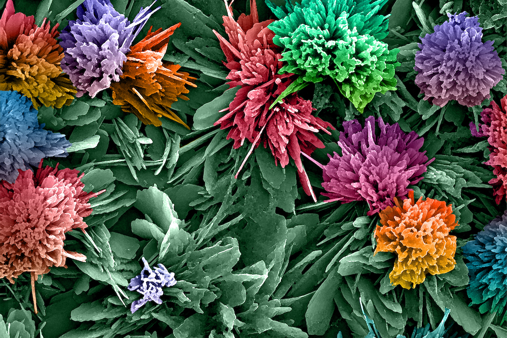 colorful crystals that look like flower blooms