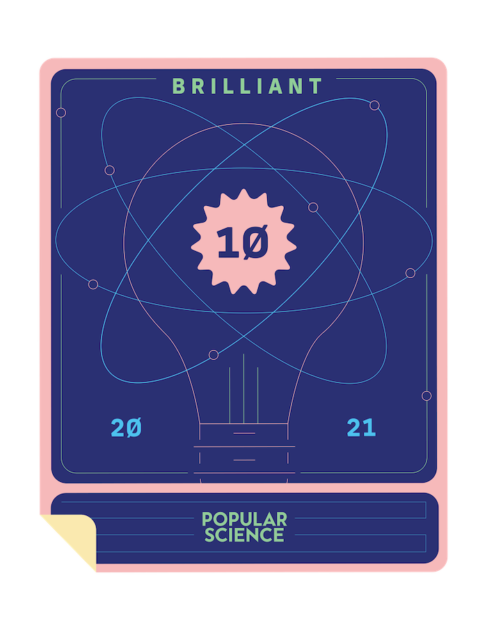 brilliant 10 badge