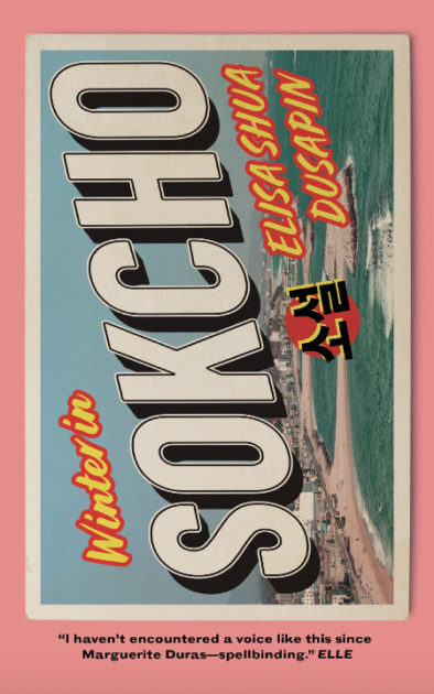 Book cover art for "Winter in Sokcho by Elisa Shua Dusapin.