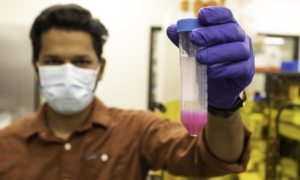 Person in mask holds up a tube containing bright pink liquid.