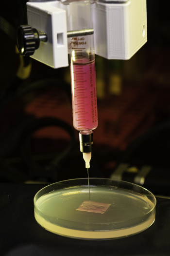 Researchers develop novel 3D printing technique to engineer biofilms News Center