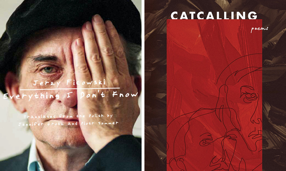 side by side book covers