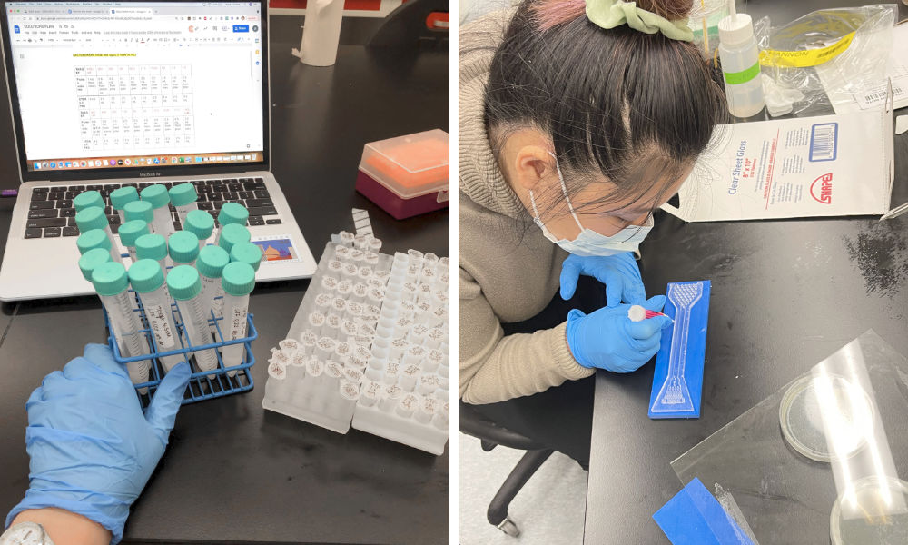 Side-by-side photos, one of a gloved hand near test tubes and open laptop, the other of a masked student applying surgical glue to a microfluidic portion of a sepsis diagnosis device.