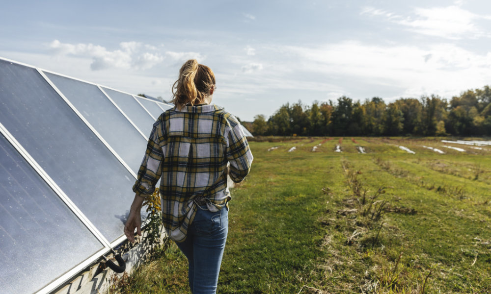Young woman seen from behind walking across a farm field with solar panels on her left.