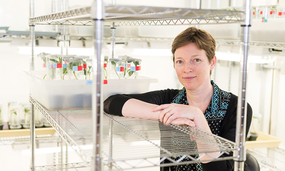 Feature image Researcher standing with arm perched on wire-framed shelves in lab.