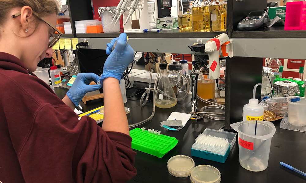 Closeup of undergraduate researcher in a lab using a pipette to add material to a petri dish.