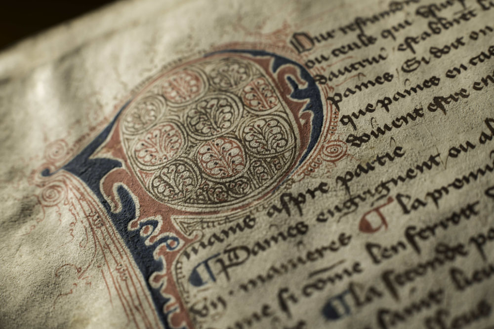 Close-up of a highly stylized letter P and surrounding script in a medieval manuscript.