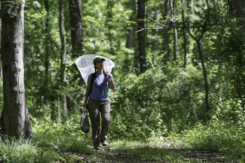 Floria Uy walks with a net over her shoulders in a verdant park.